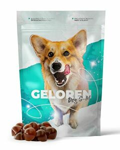 Geloren DOG s-m 180g 60ks pro psy